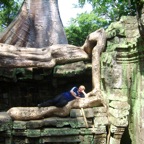 Relaxing on a root in Ta Prohm