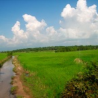 Scenery in Cambodia 3