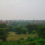 Many temples all over Bagan